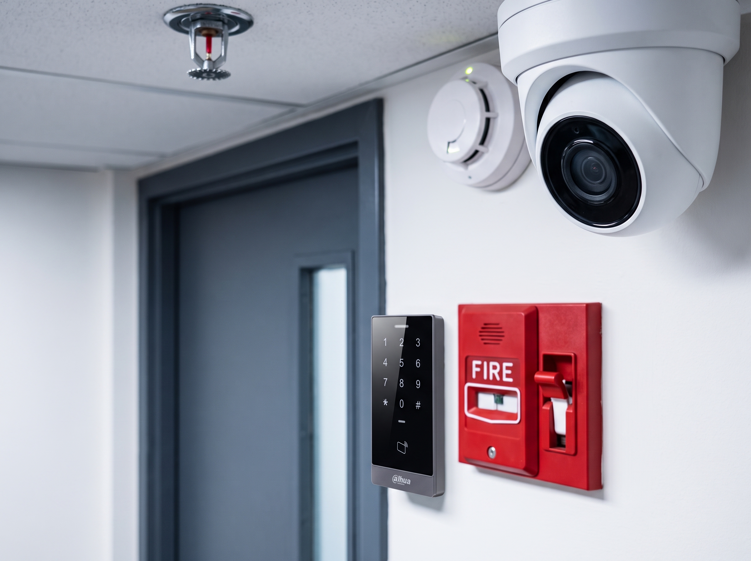 Seguridad Electrónica